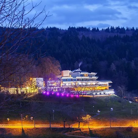 Hotel Mercure Panorama *