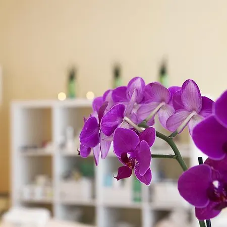 Mercure Panorama * פרייבורג