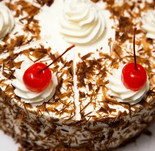 Hotell Mercure Panorama Freiburg im Breisgau