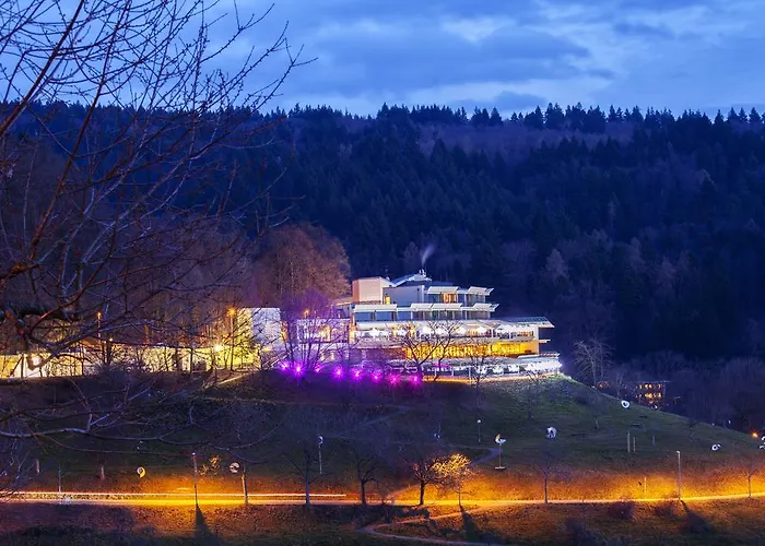 Hotell Mercure Panorama *